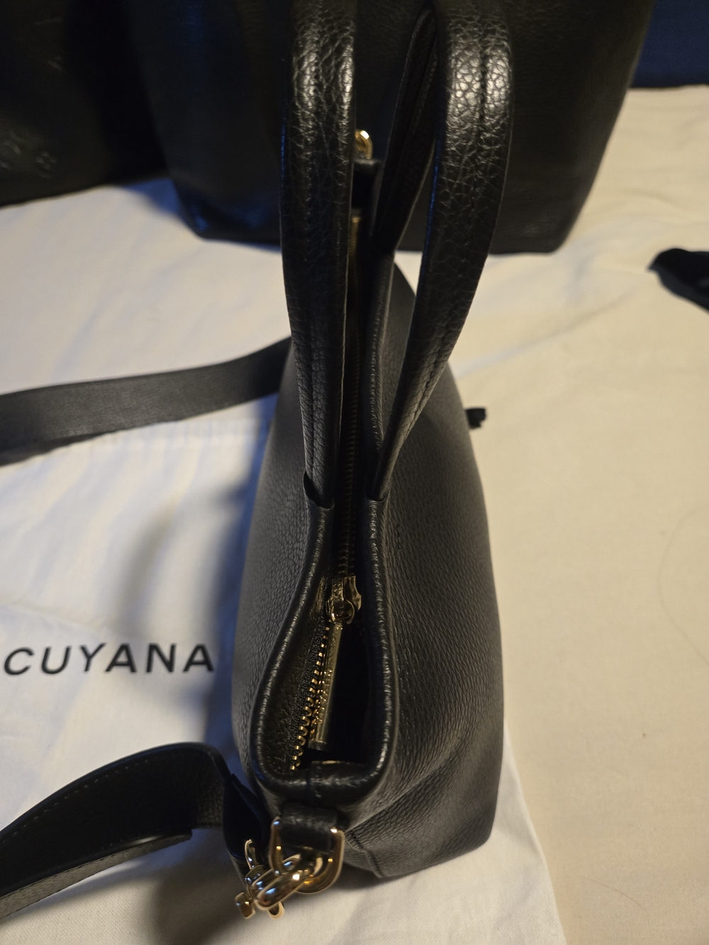 Cuyana Mini Easy Zipper Tote - Picture 6 of 10